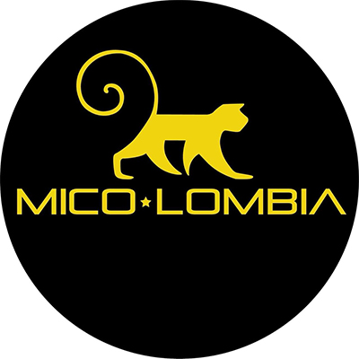 Img profile