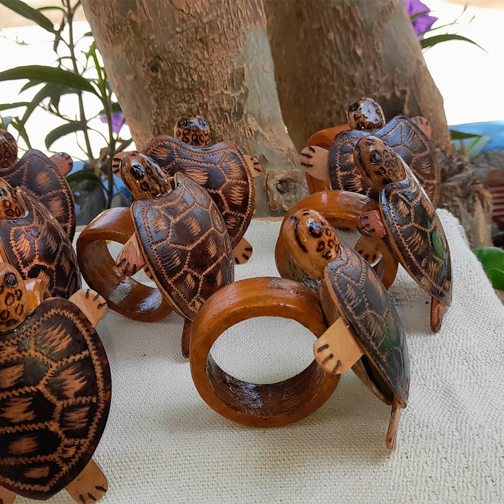 Tortugas sostenidas de circulos