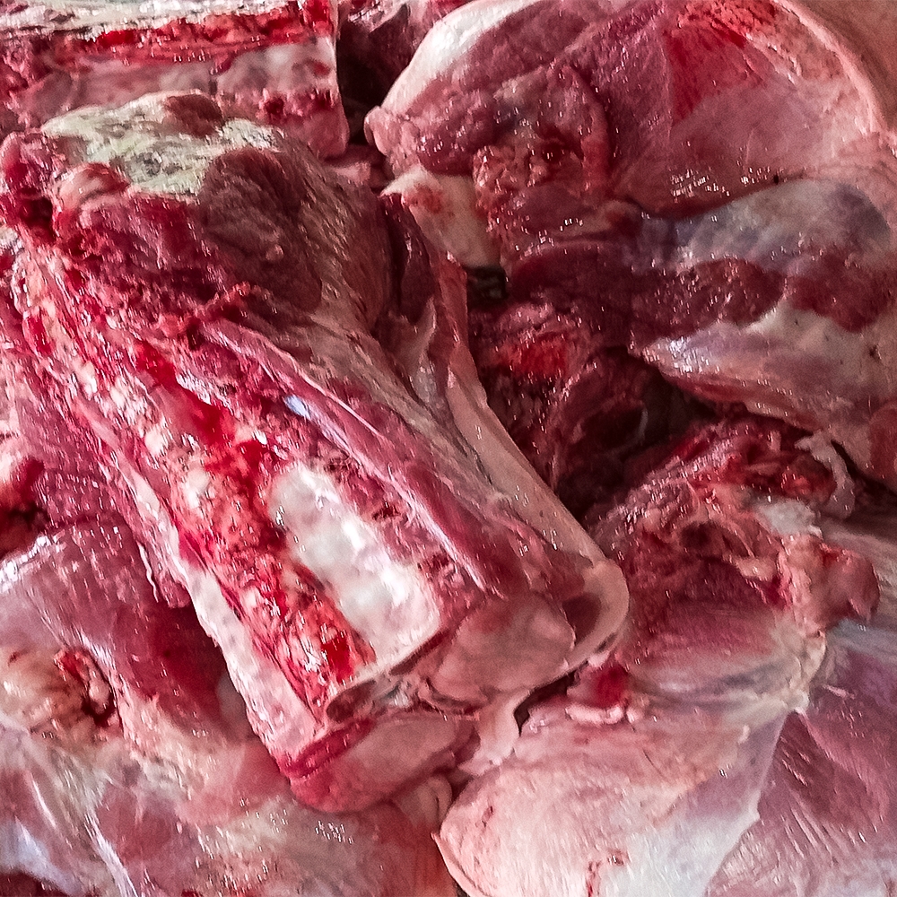 Carnes