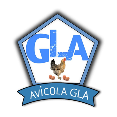 Img profile