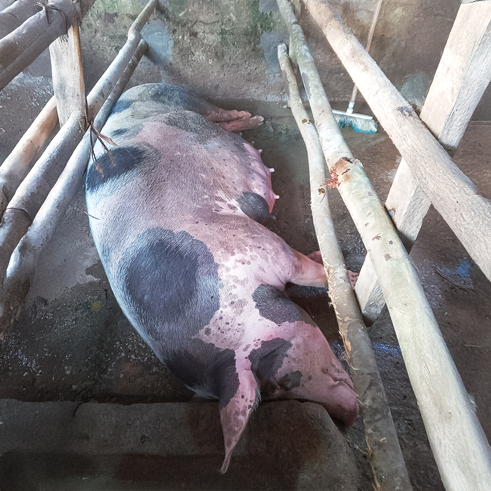 Imagen de comercio 2