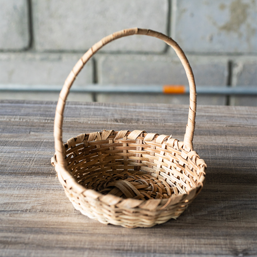 Cesta