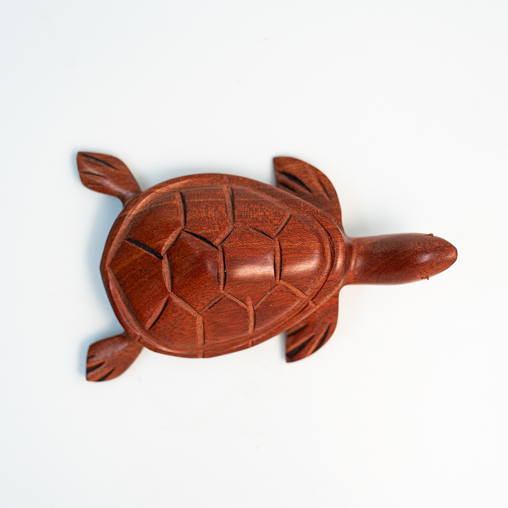 Tortuga