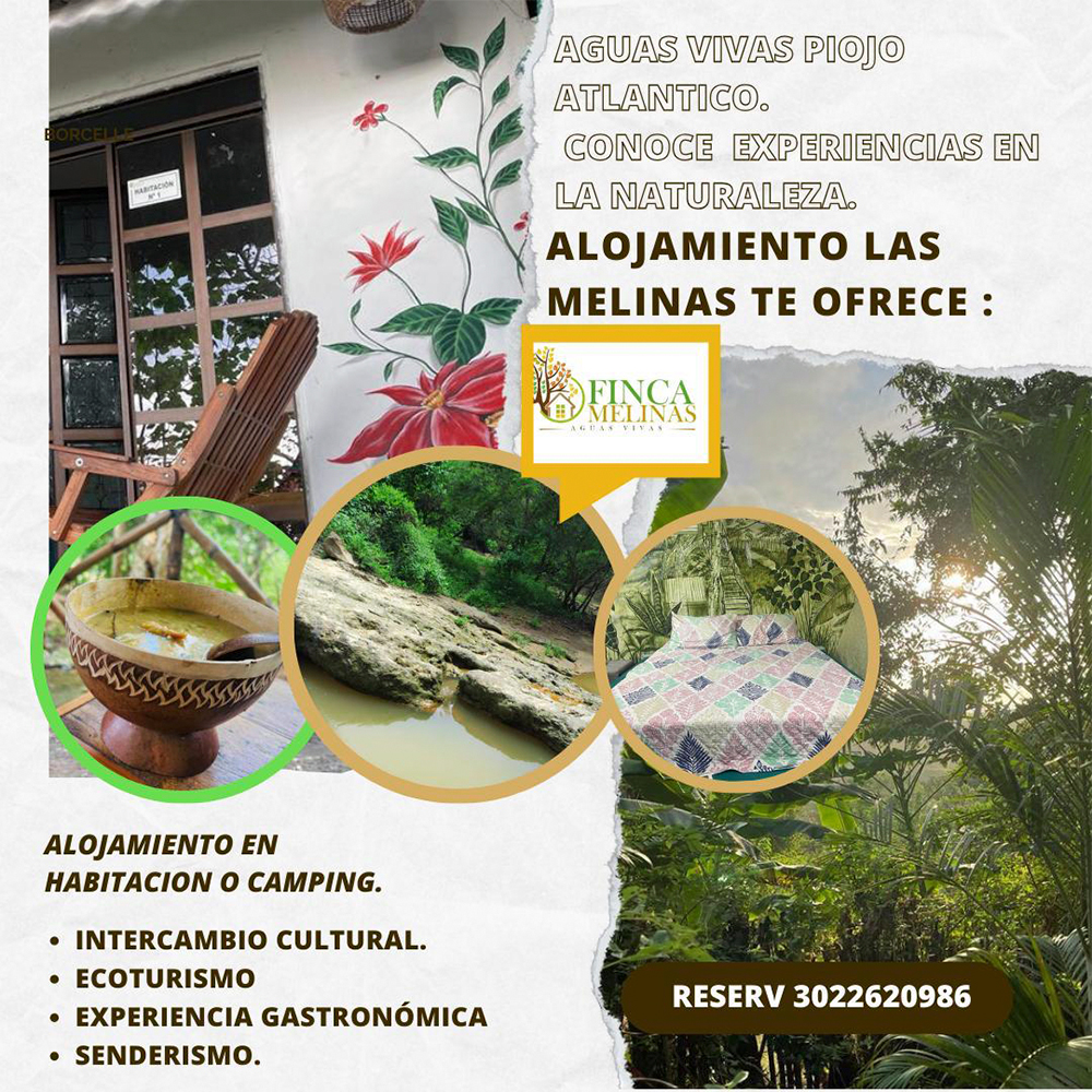 Imagen de comercio 2