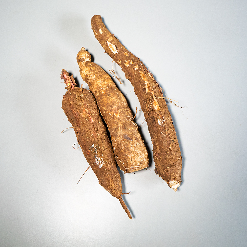 Yuca