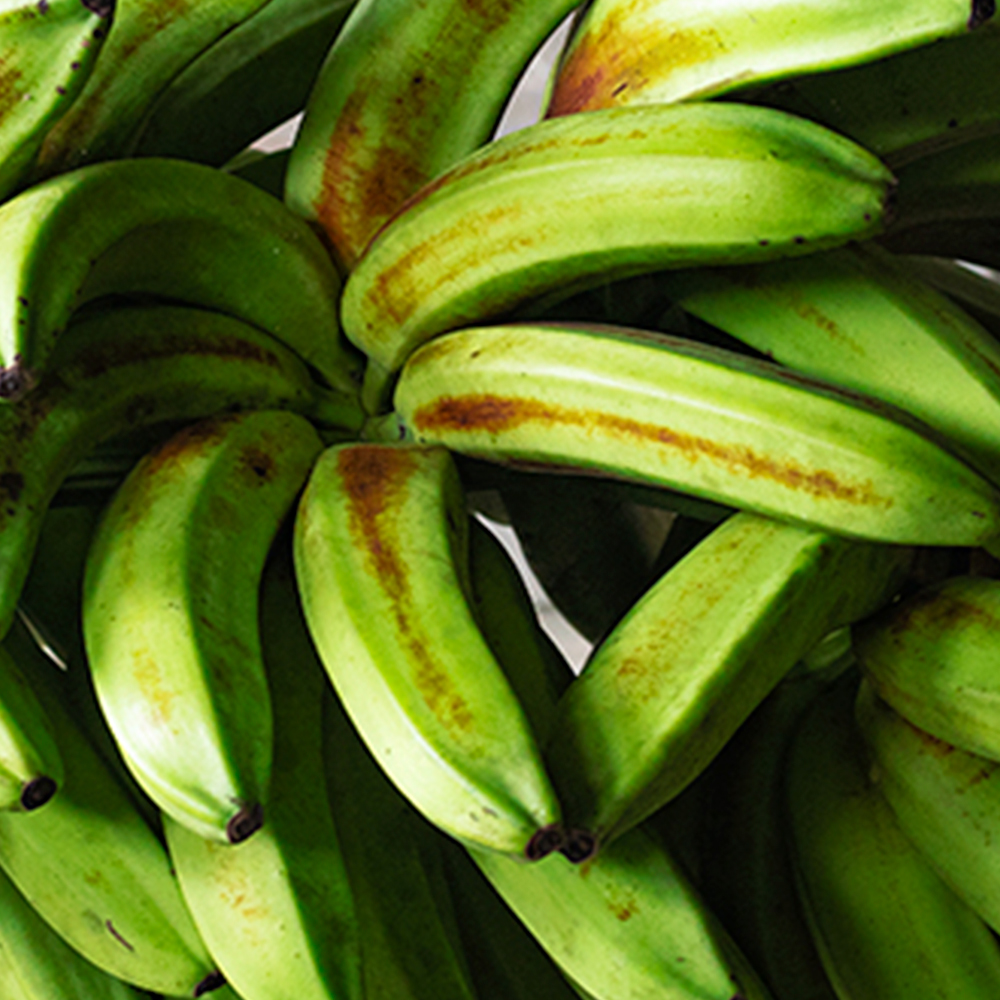 Imagen de comercio 3