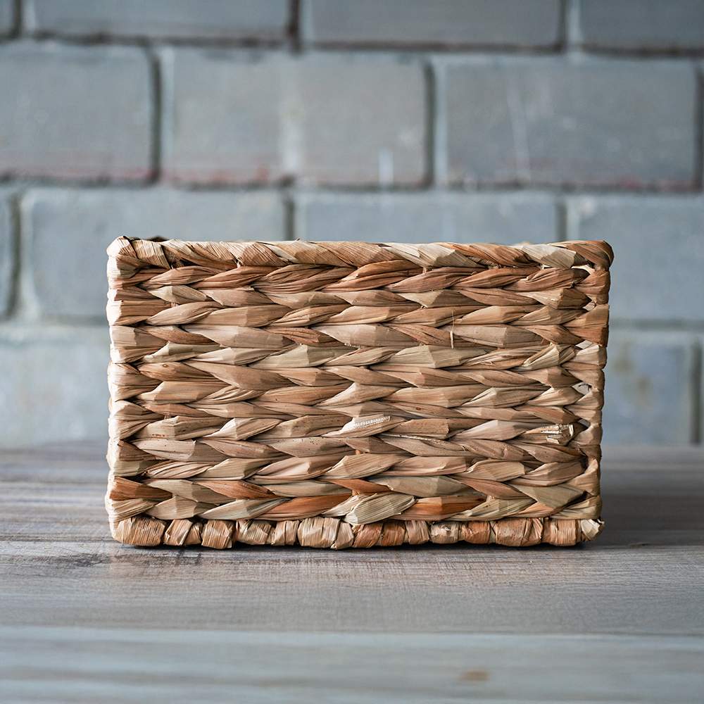 Cesta