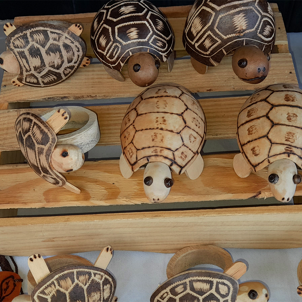 Tortugas