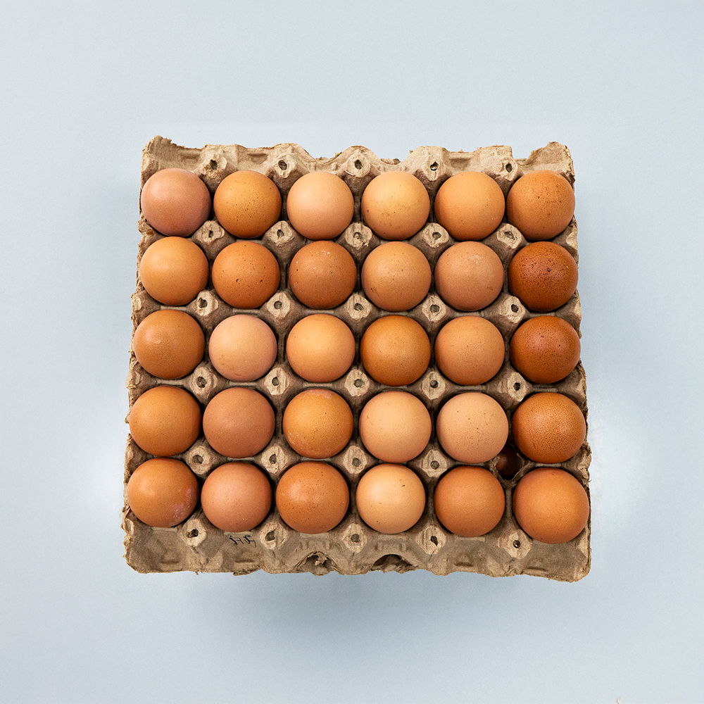Huevos
